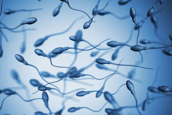 三代试管与精子质量的关系
