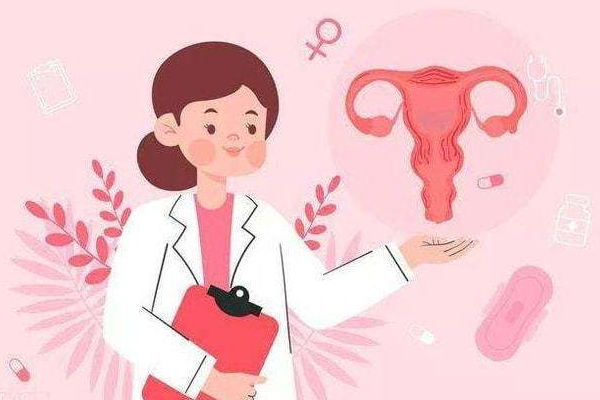 女性子宫与输卵管评估