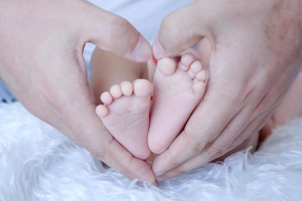 PGT真正的价值在哪里？