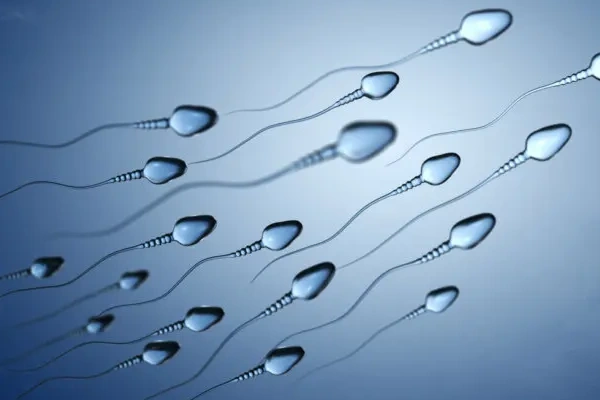 精子质量指标